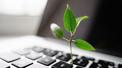 Symbolbild nachhaltiges Arbeiten: Grüne Pflanze wächst aus Laptop-Tastatur